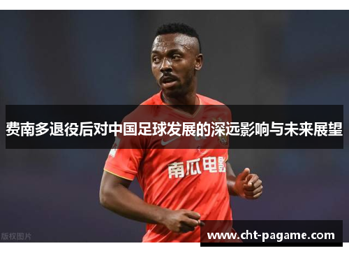 费南多退役后对中国足球发展的深远影响与未来展望